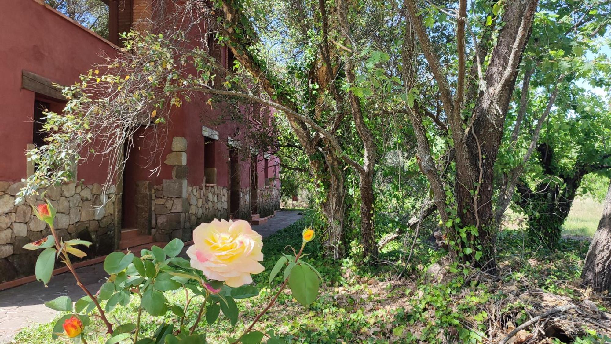 Apartamentos Rurales La Oropendola Jaraiz de la Vera Buitenkant foto